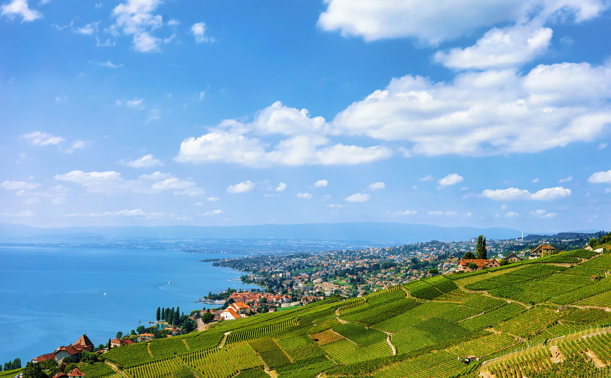 Chalets near Lavaux Vineyard Terraces hiking trail, Lake Geneva and Swiss mountains, Lavaux-Oron district in Switzerland